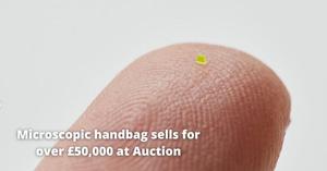 Microscopic Handbag Sells for Over £50,000 at Auction